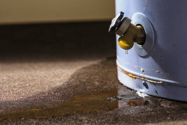 Best Ceiling water damage repair  in Kerman, CA