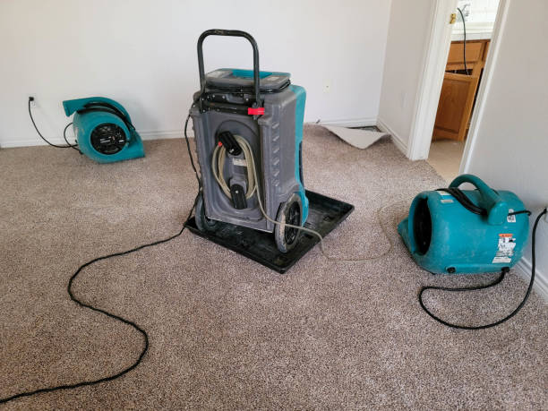 Best 24/7 water damage repair  in Kerman, CA