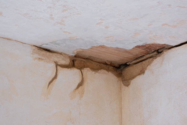 Best Water damage restoration process  in Kerman, CA
