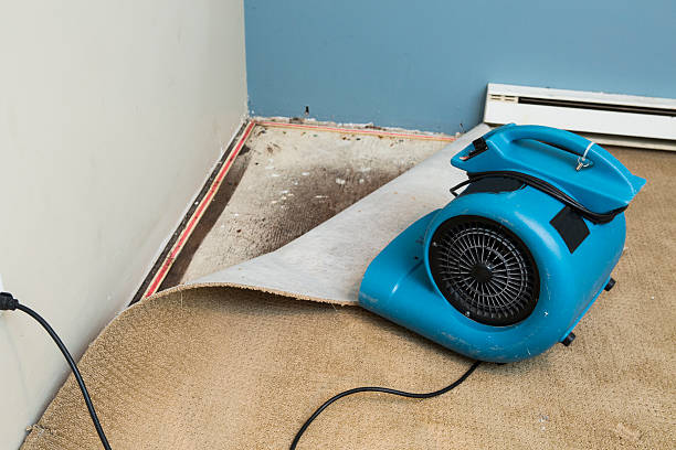 Best Water damage restoration near me  in Kerman, CA